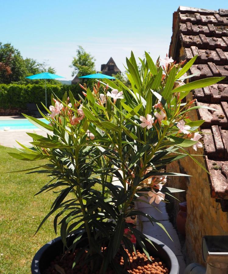 Le Clos De La Musardise - Gites De Charme Avec Piscine Chauffee Salignac Eyvigues Eksteriør bilde